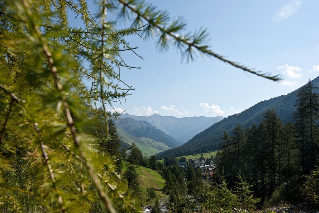 זאמנאון Hotel Des Alpes מראה חיצוני תמונה